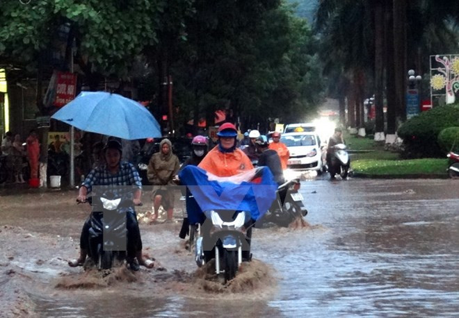 Hà Nội chủ động phòng và chống ngập úng khi có mưa lớn ảnh 1