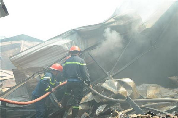 TP.HCM: Cháy lớn thiêu rụi 800m2 nhà xưởng đóng gói nông sản ảnh 1