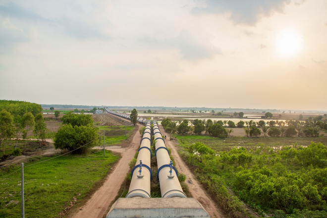 ttxvn_tuoi tieu song vam co dong (3).jpg