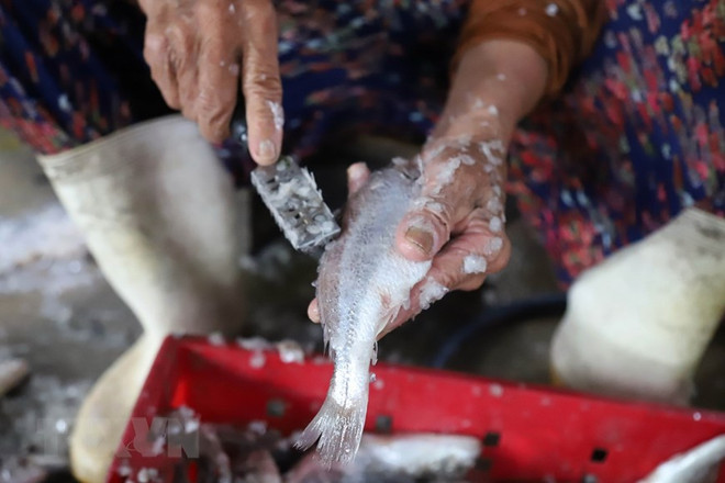 Giữ lửa nghề truyền thống nướng cá biển nơi 'miền chân sóng' ảnh 3