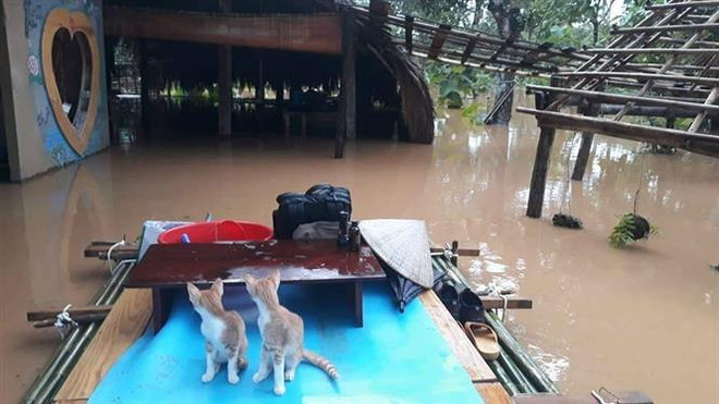 Mưa lớn còn xảy ra ở Tây Nguyên và Nam Bộ từ nay tới cuối năm ảnh 2