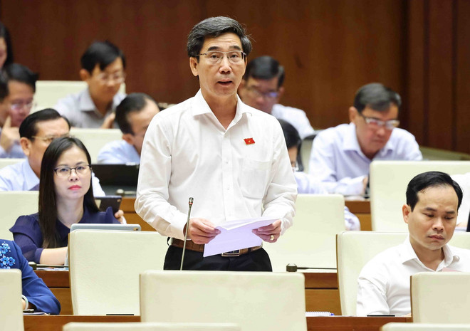 ttxvn_dai bieu quoc hoi (4).jpg