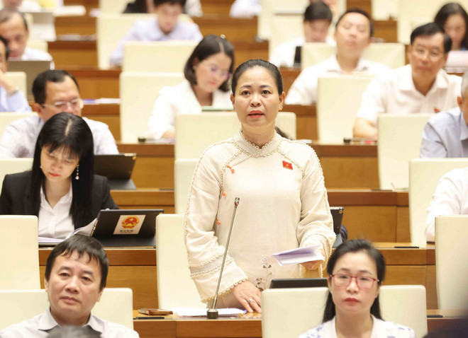 ttxvn_dai bieu quoc hoi (2).jpg