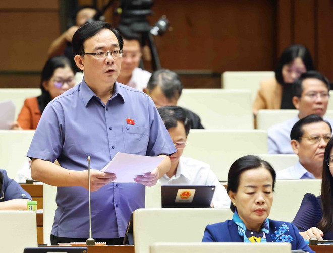 ttxvn_dai bieu quoc hoi (3).jpg