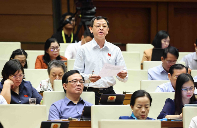 ttxvn_dai bieu quoc hoi.jpg