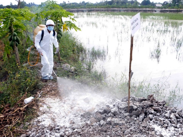 Tập trung phòng chống virus cúm gia cầm có khả năng lây sang người ảnh 1