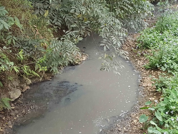 Hồ chứa nước khu chế biến hải sản chuyển màu đỏ, tràn ra sông Chà Và ảnh 1