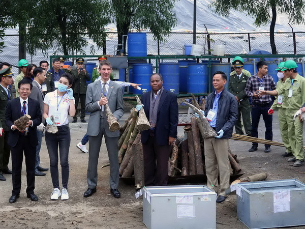 Phát hiện hơn 100kg sừng tê giác vào Hà Nội qua đường hàng không ảnh 1