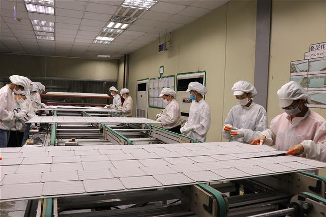 Doanh nghiệp vẫn hạn chế trong nắm bắt các ưu đãi từ Hiệp định CPTPP ảnh 1