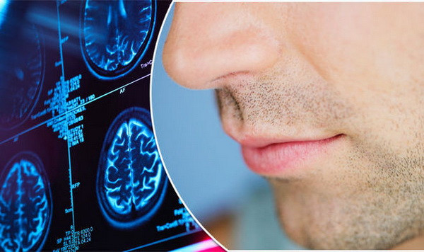 Lần đầu tiên giới khoa học vẽ được bản đồ khứu giác con người ảnh 1