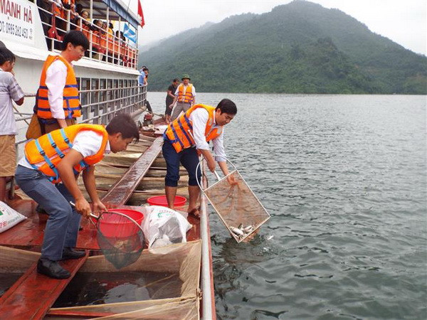 Thả hơn 60.000 con cá giống bổ sung nguồn lợi thủy sản hồ Hòa Bình ảnh 1
