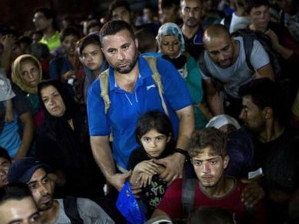 Người dân Canada muốn giảm bớt chỉ tiêu tiếp nhận người tị nạn ảnh 1