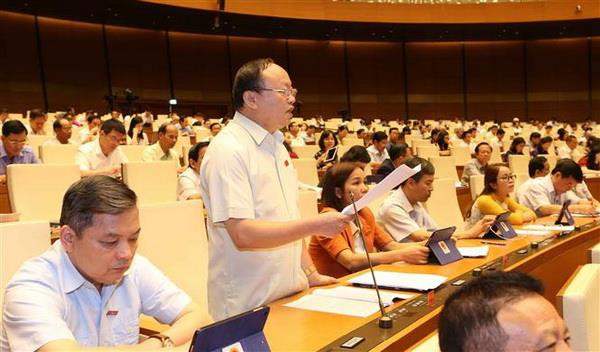 Đại biểu Quốc hội tỉnh Yên Bái Giàng A Chu phát biểu ý kiến. (Ảnh: Doãn Tấn/TTXVN) Ý kiến xung quanh đề xuất cấm quảng cáo rượu, bia trên 15 độ ảnh 1
