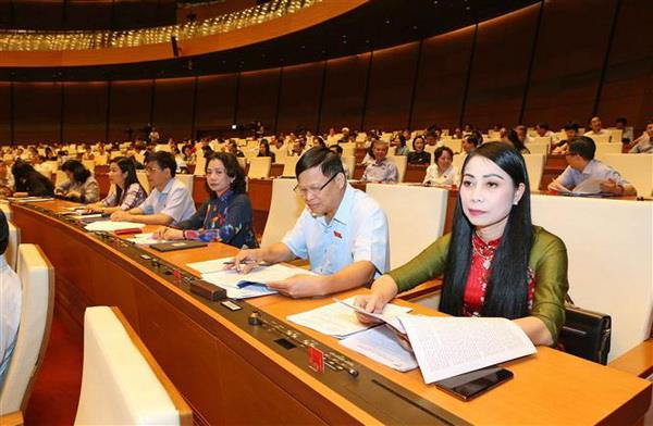 Đoàn đại biểu Quốc hội tỉnh Vĩnh Phúc tại phiên họp sáng 23/5. (Ảnh: Doãn Tấn/TTXVN) Ý kiến xung quanh đề xuất cấm quảng cáo rượu, bia trên 15 độ ảnh 2