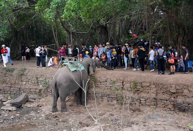 Đắk Lắk: Nhiều điểm tham quan thu hút du khách trải nghiệm, du Xuân ảnh 1