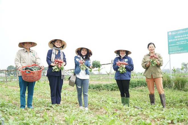 Nghệ An hướng phát triển du lịch nông nghiệp thành ngành mũi nhọn ảnh 3