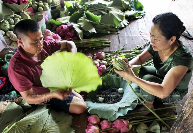 Hồn cốt, tinh thần và tình yêu với trà Việt 'còn mãi với thời gian' ảnh 2