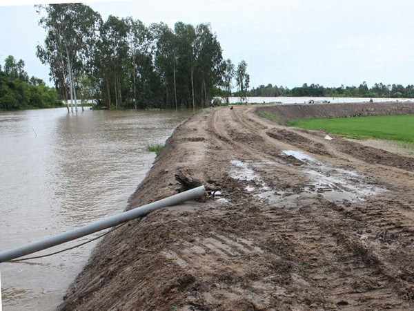 Lũ đầu nguồn sông Cửu Long lên nhanh và diễn biến phức tạp ảnh 1