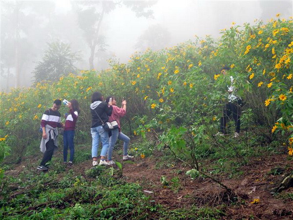 Hà Nội khai thác tiềm năng vùng ngoại ô phát triển du lịch cộng đồng ảnh 2
