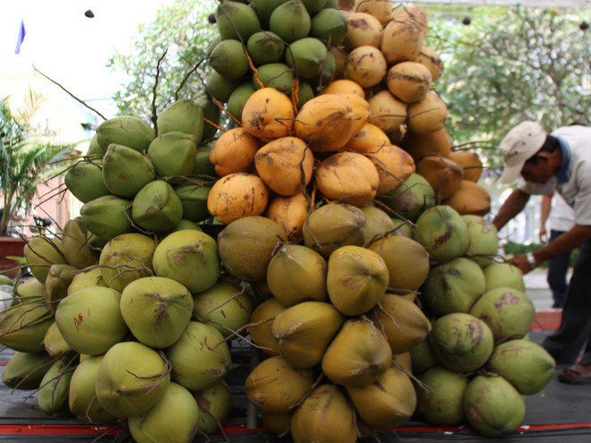 Huy động 20 tỷ đồng tổ chức Lễ hội dừa bằng hình thức xã hội hóa ảnh 1