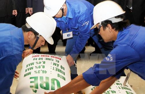 Nông dân "chóng mặt" ứng phó với giá phân bón trong nước tăng cao ảnh 3