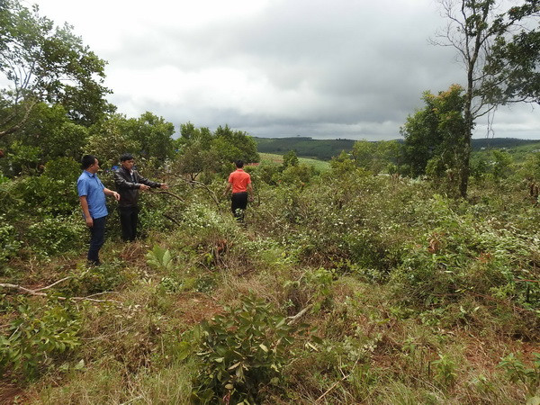 Đắk Nông: Kỷ luật cảnh cáo một Phó Chủ tịch Ủy ban Nhân dân huyện ảnh 1
