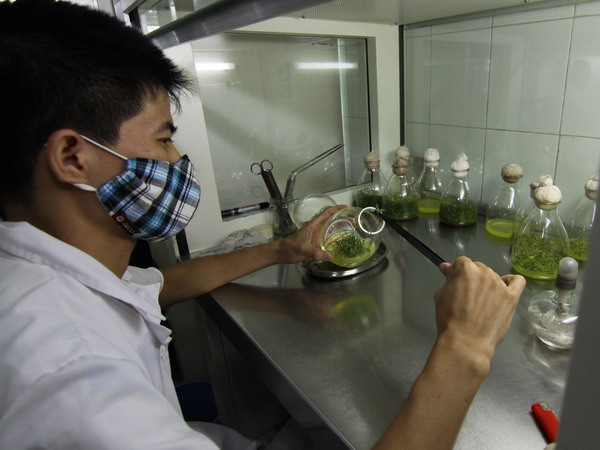 Phê duyệt Chương trình chuyển giao công nghệ nước ngoài đến 2020 ảnh 1