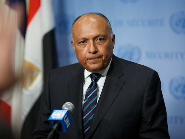 Ai Cập ủng hộ Iraq trong cuộc chiến chống khủng bố ảnh 1