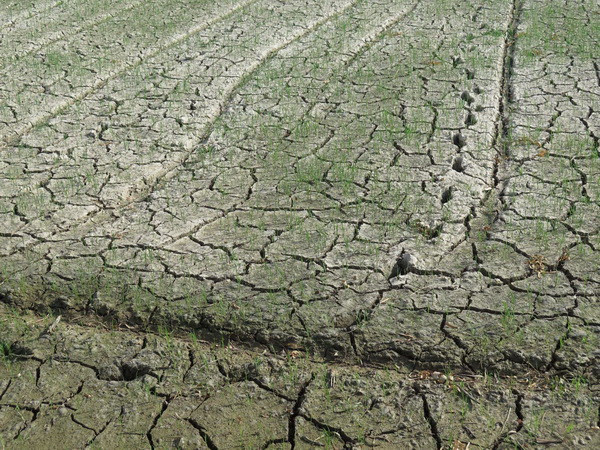 Khí biển mang theo hơi mát làm dịu nắng nóng ở Bắc Bộ ảnh 1