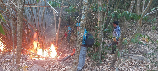 Bà Rịa-Vũng Tàu: Kịp thời khống chế vụ cháy rừng trên núi Dinh ảnh 1