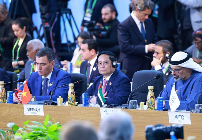 ttxvn_pham minh chinh G20.jpg