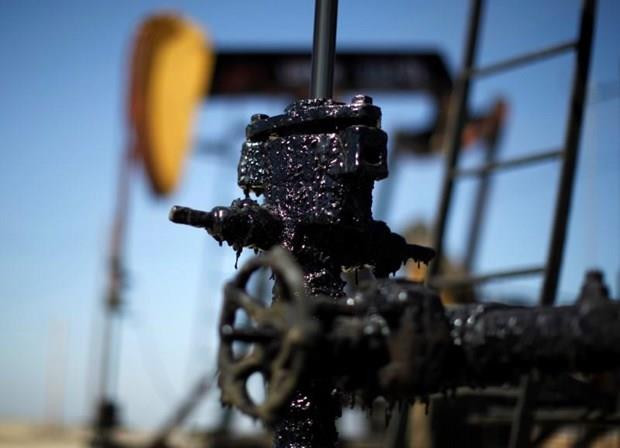 (Nguồn: Investing.com) Giá dầu đi lên trước thềm Hội nghị G20 và cuộc họp của OPEC ảnh 1