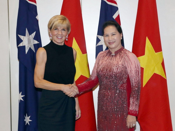 Việt Nam khẳng định coi trọng quan hệ song phương với Australia ảnh 1