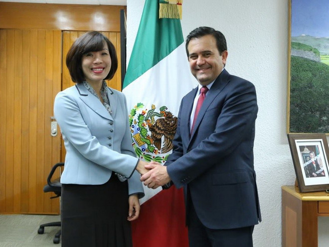 Mexico cam kết thúc đẩy quan hệ hợp tác với Việt Nam ảnh 1