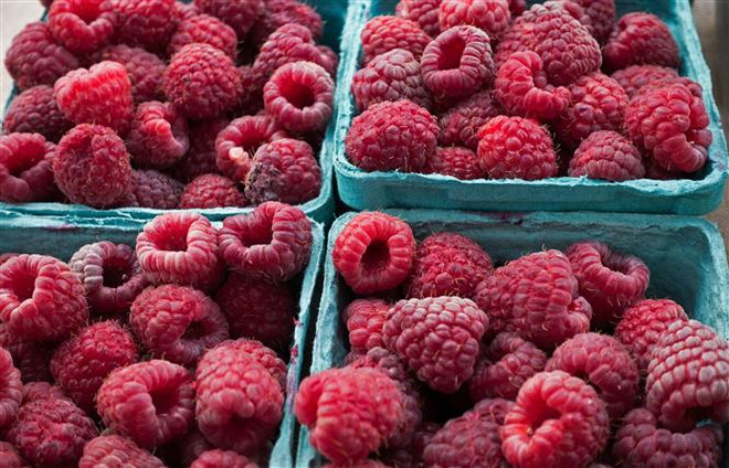 Ba Lan yêu cầu EC cấm nhập khẩu quả mâm xôi của Ukraine ảnh 1