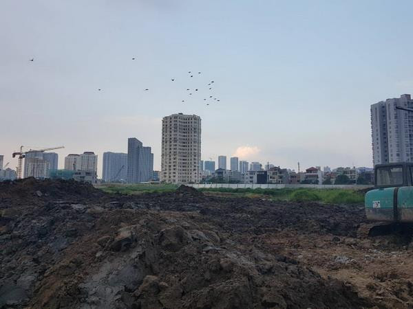 TP.HCM: Chủ đầu tư thừa nhận sai sót khi xây dựng dự án Laimian City ảnh 1