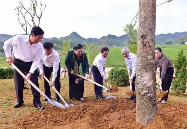 Phó Chủ tịch Quốc hội Tòng Thị Phóng tiếp xúc cử tri tại Sơn La ảnh 3