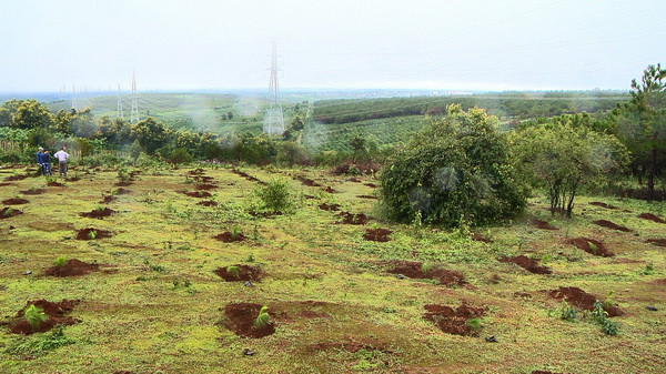 Khởi tố 4 bị can tham ô tài sản và cố ý làm trái quy định của Nhà nước ảnh 1