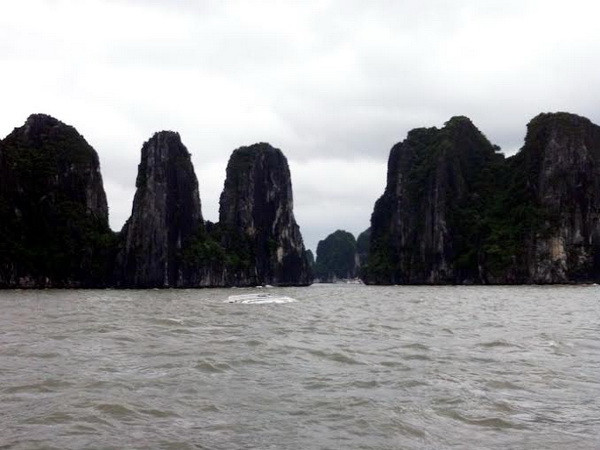 Quảng Ninh: Tàu chở khách du lịch nước ngoài bị lốc nhấn chìm ảnh 1