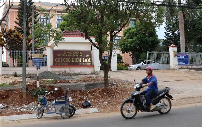 Phát hiện nhiều sai phạm tại các Hạt Kiểm lâm tỉnh Gia Lai ảnh 1