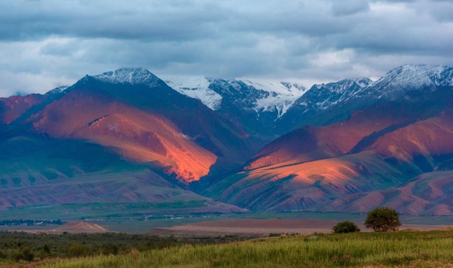 Giải mã bí ẩn về nguồn gốc đại dịch Cái chết Đen thảm khốc ảnh 1