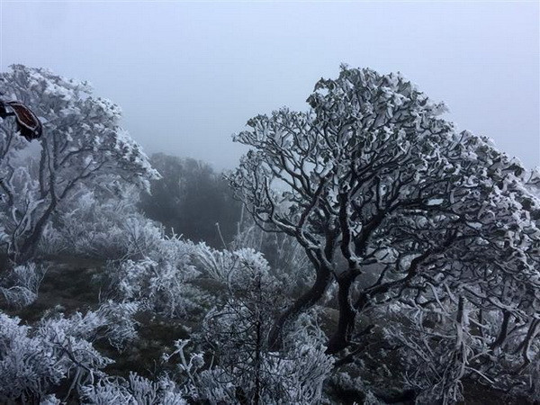 Từ 29/12, vùng núi cao Bắc Bộ khả năng xảy ra băng giá và mưa tuyết ảnh 1