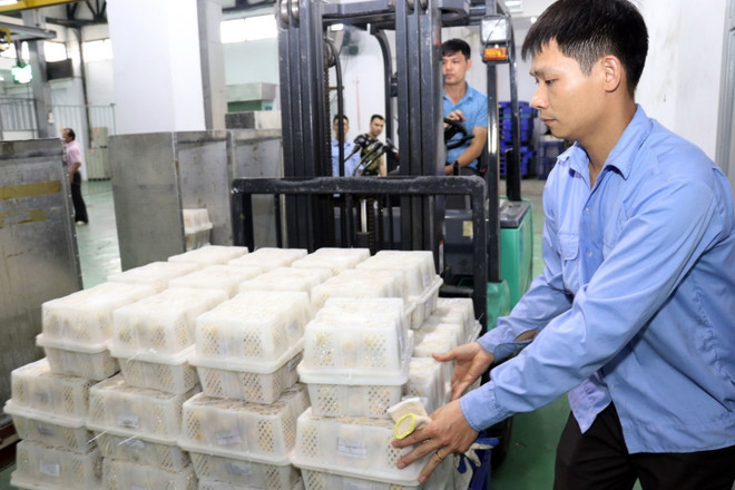 Bộ Chính trị ra kết luận về việc khắc phục tác động của dịch COVID-19 ảnh 1