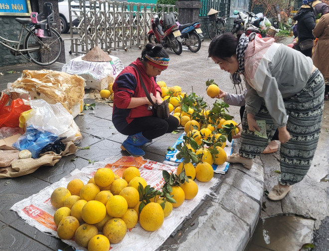 Hoa quả tươi được bày bán tại chợ Xuân La (Tây Hồ). (Ảnh: Phương Anh/TTXVN) ttxvn-0712-hoa-qua-2-4557.jpg