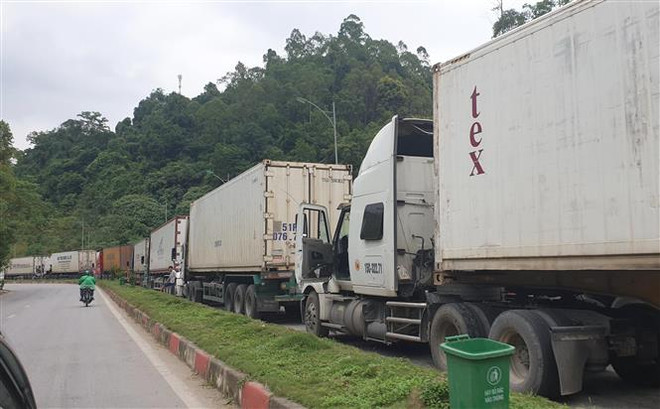 Hướng tới chuyên nghiệp hóa trong sản xuất và thương mại ảnh 2