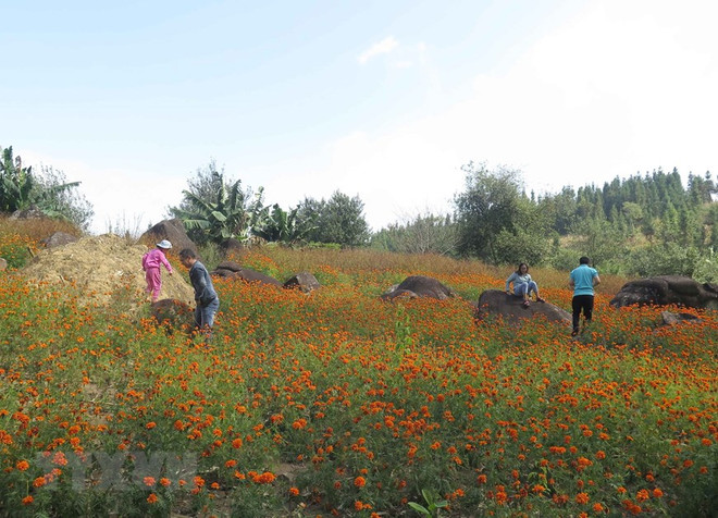 Điện Biên: Khám phá điểm du lịch hồ Noong U nằm ở độ cao trên 1.000m ảnh 2