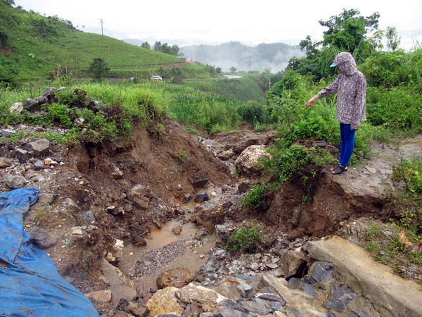 Bắc Kạn: Khẩn trương khắc phục những điểm sạt lở trên Đèo Gió ảnh 1