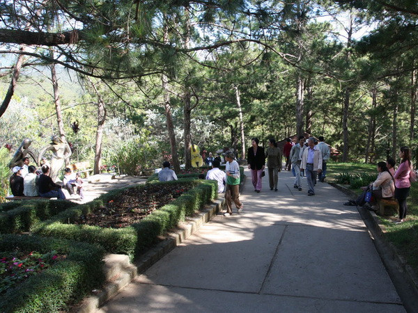 Người dân khắp nơi đổ xô lên Đà Lạt để tránh nắng nóng ảnh 1