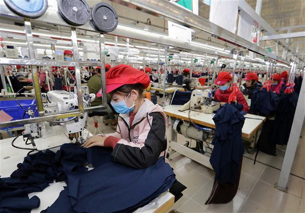 Đổi mới xúc tiến thương mại: Tận dụng hiệu quả thị trường truyền thống ảnh 1