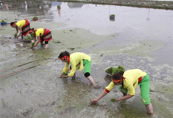 Thái Nguyên: Nô nức lễ hội xuống đồng xây dựng nông thôn mới ảnh 1